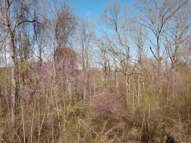 Land for sale in Ark