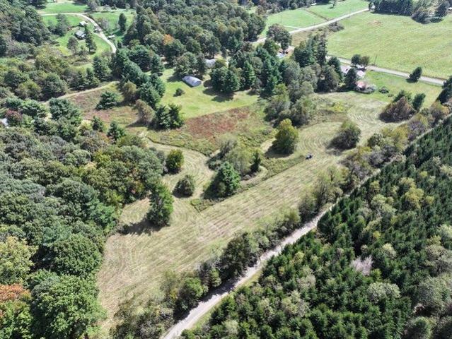 Land for sale in Meadows of Dan, Patrick County