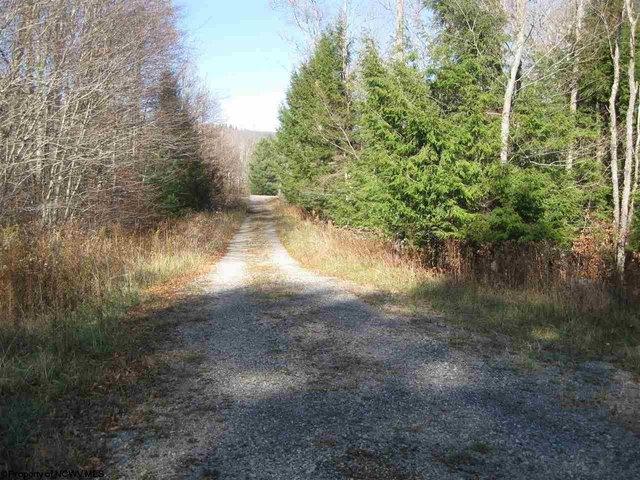 Land for sale in Davis, West Virginia