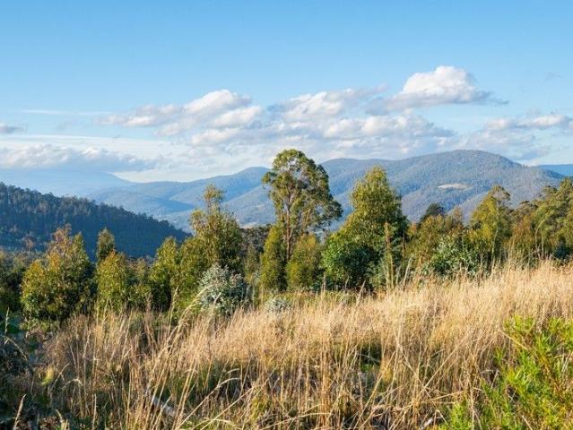 Land for sale in Franklin, Huon Valley