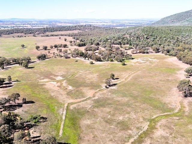 Cottage for sale in Grenfell, New South Wales
