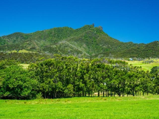 Land for sale in Northland