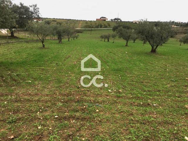 Terreno venda em Mourã, Beja