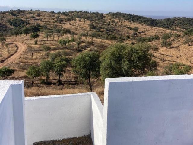 Terreno venda em Mourã, Beja