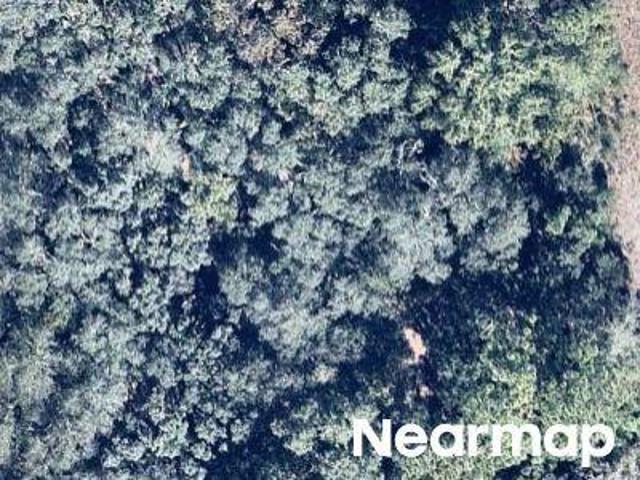 Land for sale in Florida