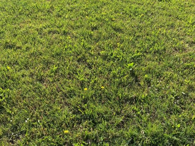 Terrain vente à France métropolitaine, Moustey