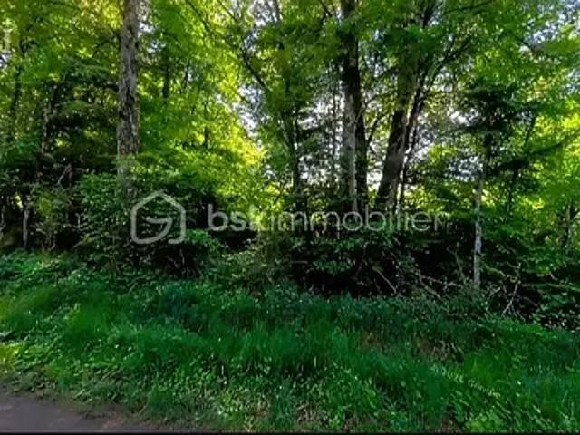 Terrain vente à Auxerre, Moutiers-en-puisaye