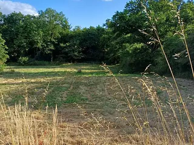 Terrain vente à Moutiers-les-mauxfaits, Vendée