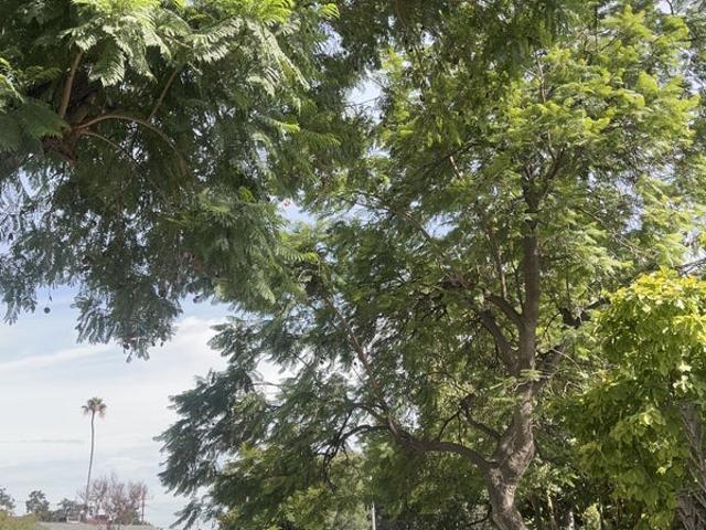 Room for rent in Burbank, California