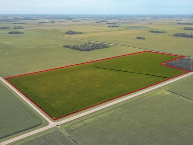 Land for sale in Blooming Prairie, Steele County