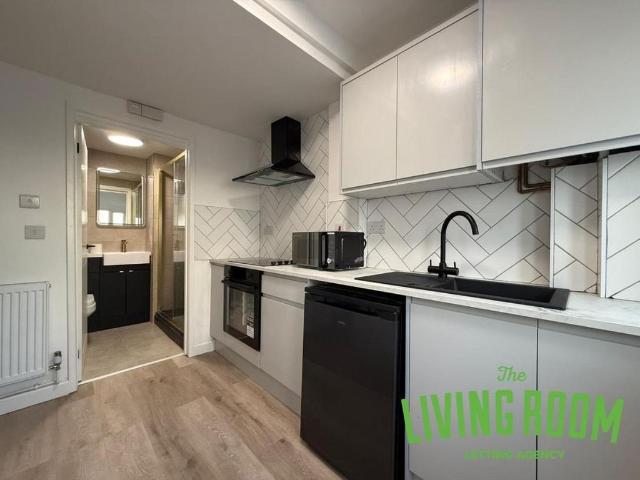 Apartment for rent in Plasnewydd, Falcon Lodge