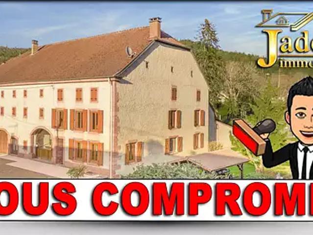 Maison vente à Saint-Dié-des-Vosges, Moyenmoutier