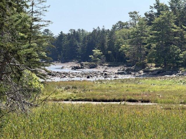 Land for sale in Corea, Maine