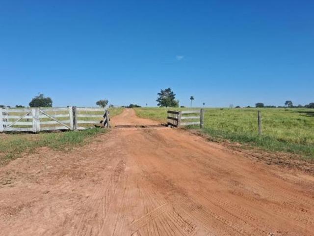 Sítio e chácara venda em Região Geográfica Imediata de Goiás - Itapuranga, Mozarlândia