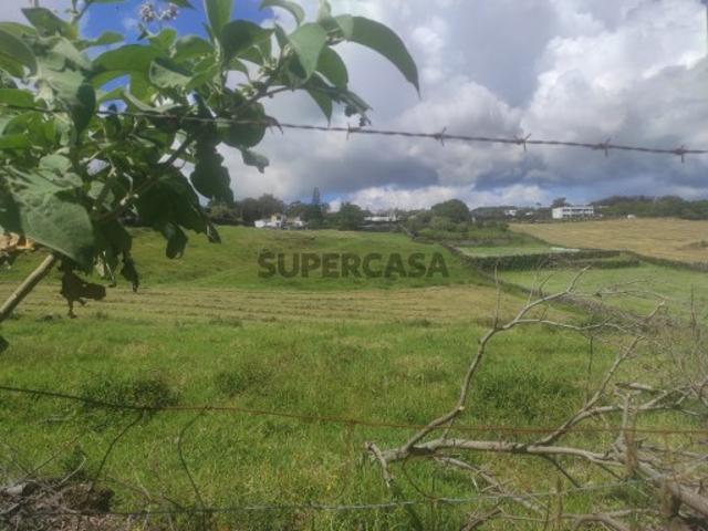 Terreno venda em São Roque, Funchal