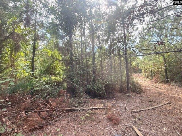 Land for sale in Jefferson, South Carolina