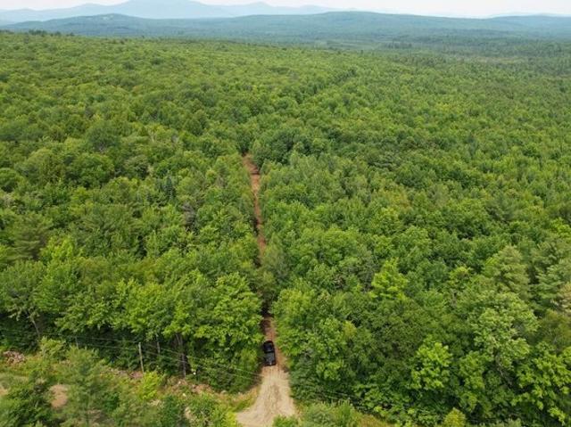 Land for sale in New Vineyard, Maine
