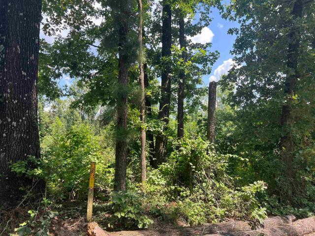 Land for sale in Ark