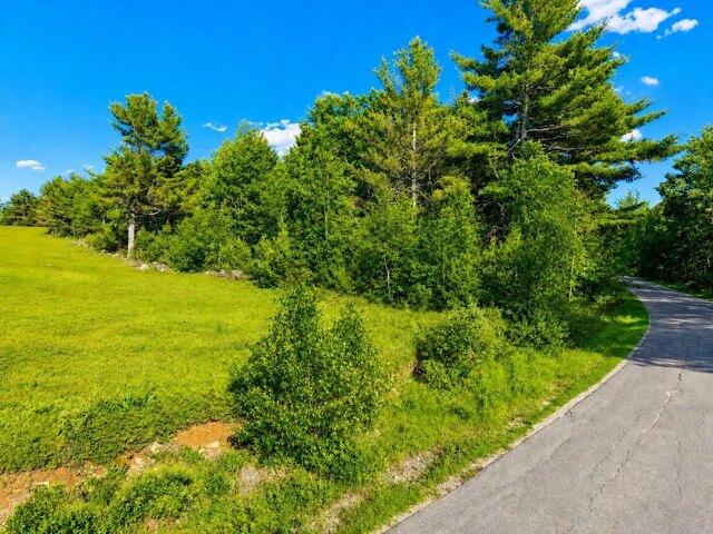 Land for sale in Waldo, Maine
