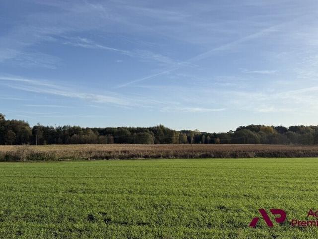 Grunt na sprzedaż w Mrowino, Wielkopolskie