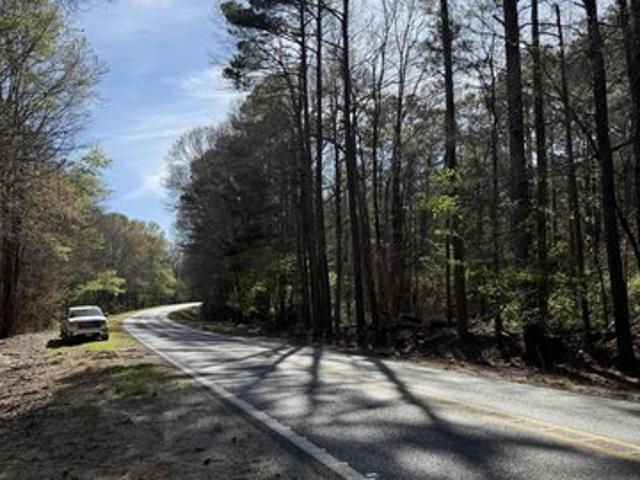 Land for sale in Lena, Mississippi