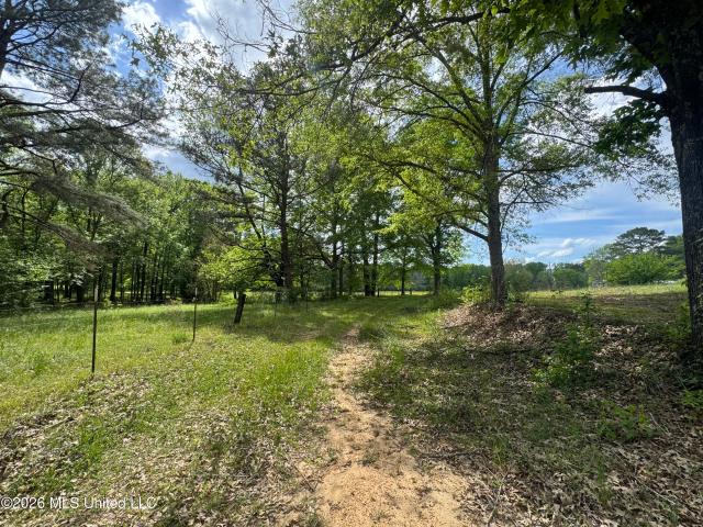 Property for sale in Mendenhall, Mississippi