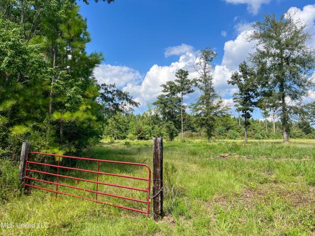 Land for sale in Morton, Mississippi