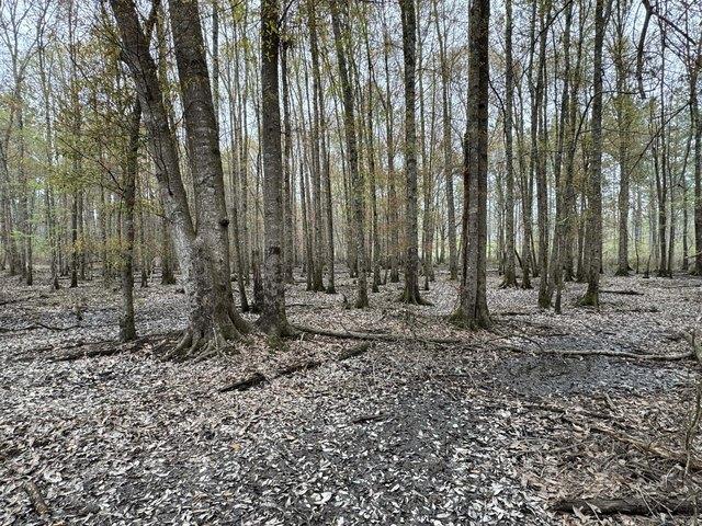 Farm for sale in Ellisville, Mississippi