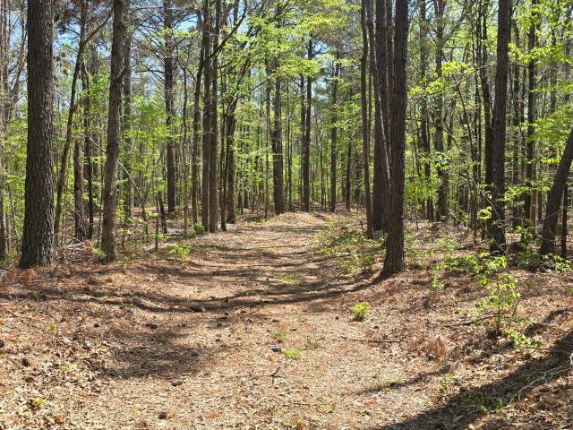 Land for sale in Carrollton, Mississippi
