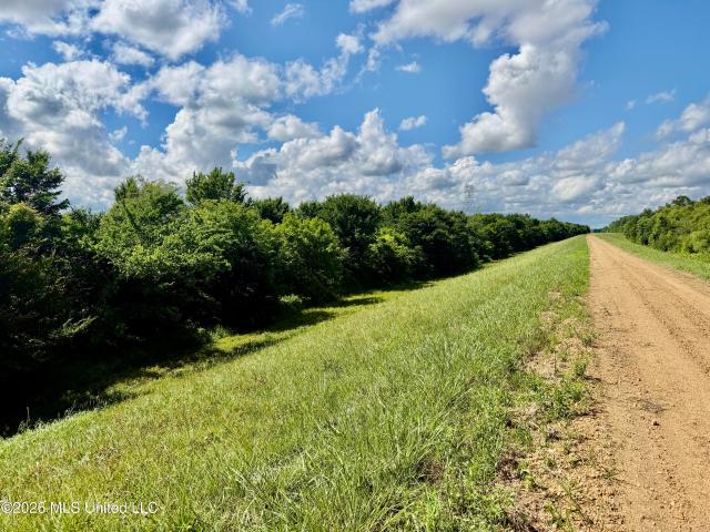 Land for sale in Sledge, Mississippi