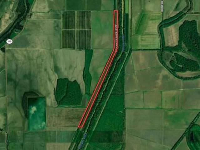 Land for sale in Sledge, Mississippi