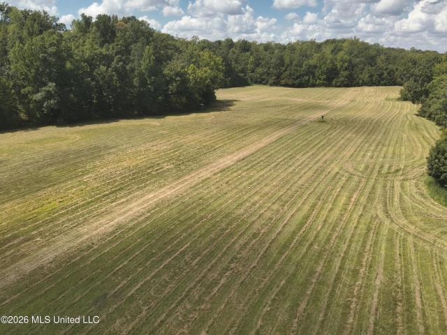 Land for sale in North Carrollton, Mississippi