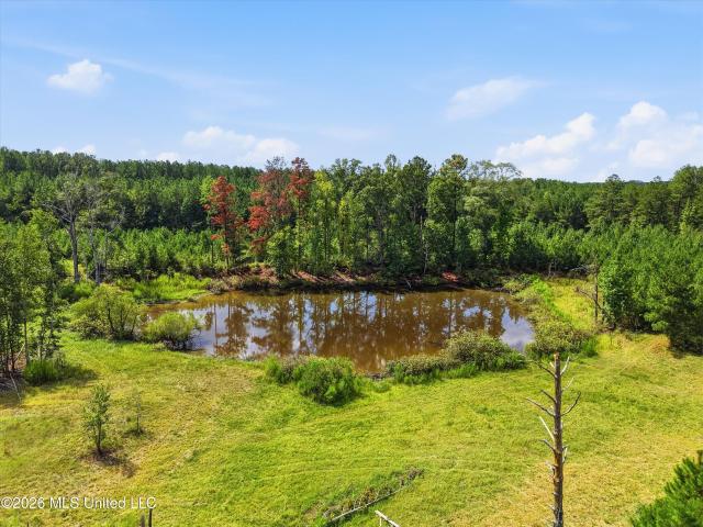 Land for sale in Singleton, Carthage