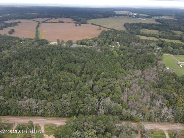 Land for sale in Forest, Mississippi