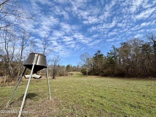 Land for sale in Vaiden, Mississippi