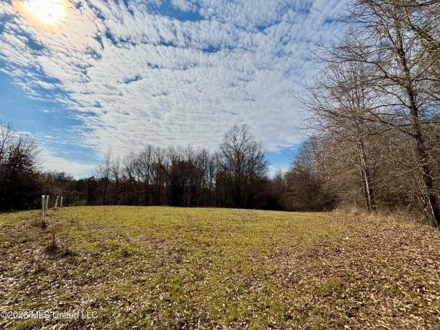 Land for sale in Vaiden, Mississippi