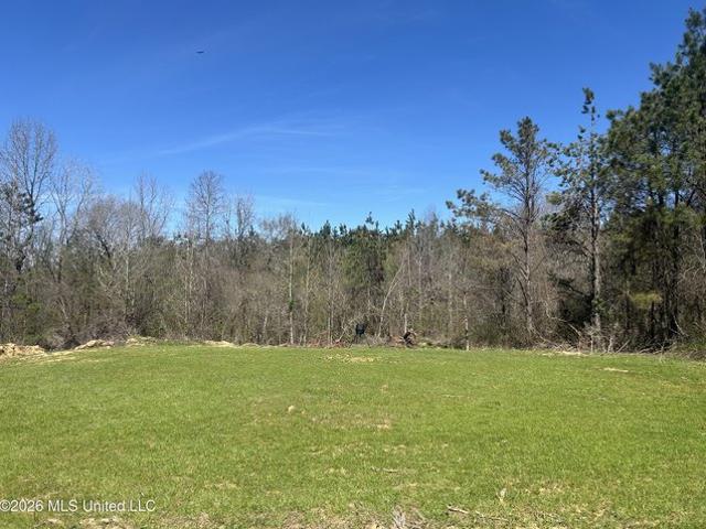 Land for sale in Pontotoc, Mississippi