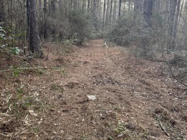 Land for sale in State Line, Mississippi