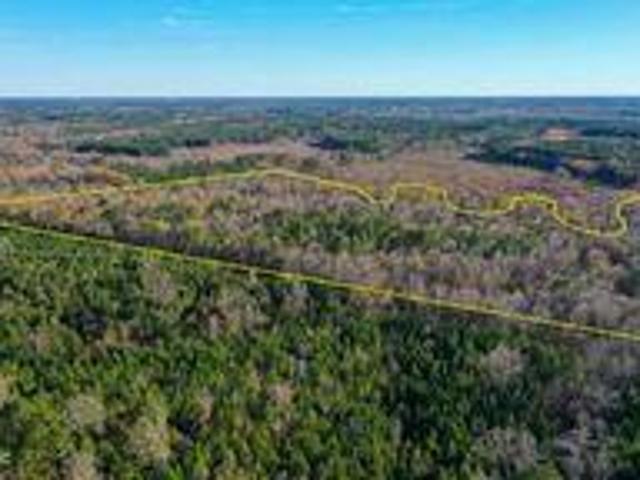 Land for sale in Canton, Mississippi