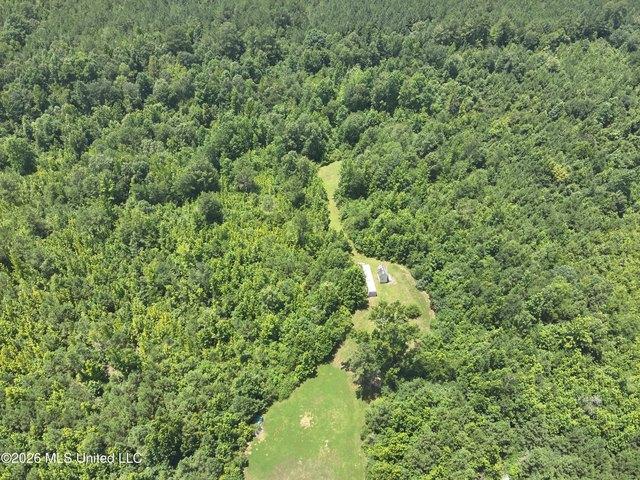 Land for sale in Carthage, Mississippi