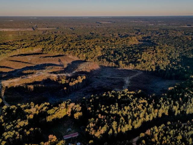 Land for sale in West, Mississippi