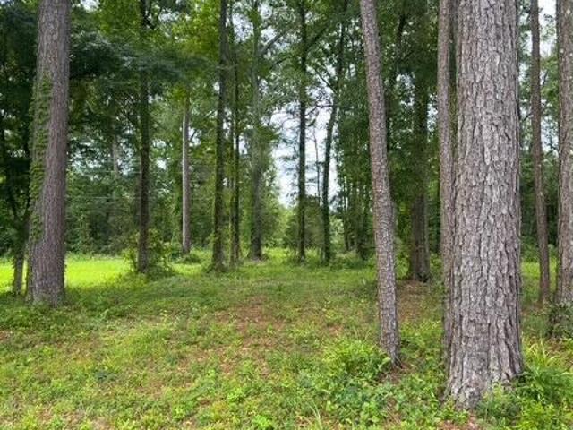 Land for sale in Fannin, Brandon