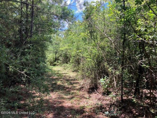 Land for sale in Tylertown, Mississippi