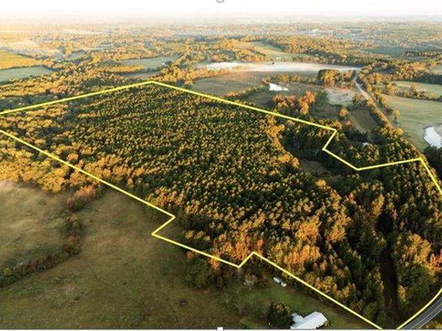 Land for sale in Mississippi