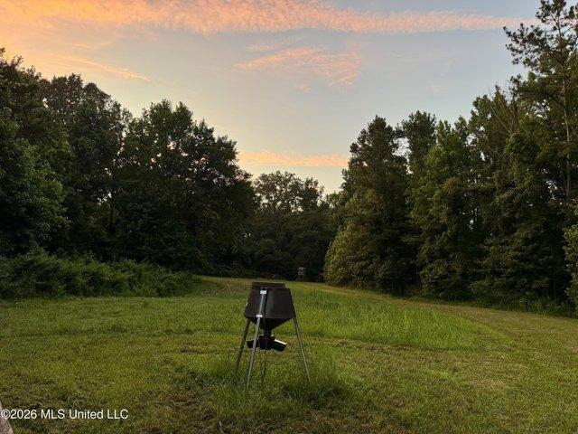 Land for sale in Fayette, Mississippi