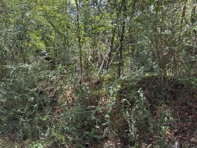 Land for sale in Meadville, Mississippi