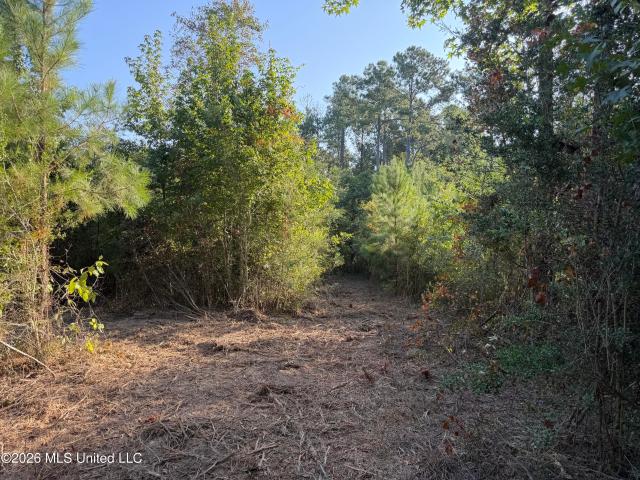 Land for sale in Summit, Pike County