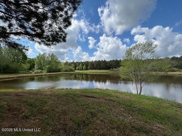 Land for sale in Tylertown, Mississippi