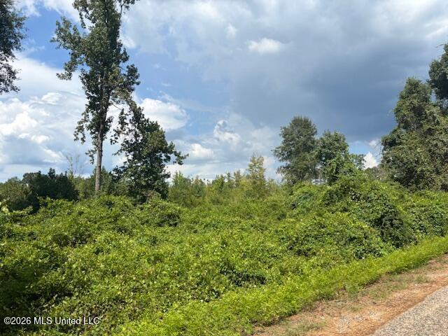 Land for sale in Tylertown, Mississippi
