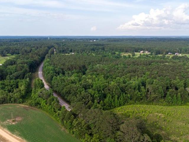 Land for sale in Seminary, Mississippi